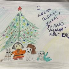 Михаил Вячеславович Логашин в конкурсе «Новогодняя ёлка для Умки»