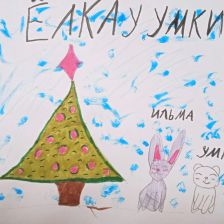 Ева Геннадьевна Жигалина в конкурсе «Новогодняя ёлка для Умки»