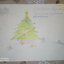 Алёна Александровна Литвинова