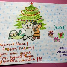 Алиса Евгеньевна Шершнева