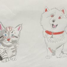 Артём Алексеевич Никифоров в конкурсе «Замурчательные рисунки»