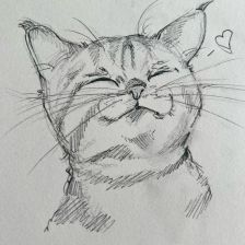 Аки Бригхт в конкурсе «Замурчательные рисунки»