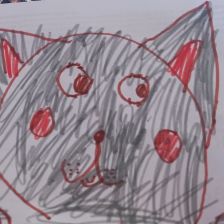 Амина Рафисовна Шакирова