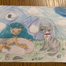 Варвара Ильинична Новикова в конкурсе «Замурчательные рисунки»