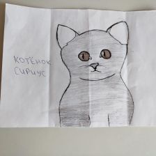 Диана Ринатовна Хакимова в конкурсе «Замурчательные рисунки»