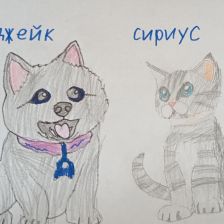 Дэдпул в конкурсе «Замурчательные рисунки»