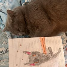 Стефания Михайловна Демина в конкурсе «Замурчательные рисунки»