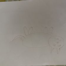 Рашидхан Уллубиевич Сайдулаев