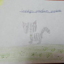 Варвара Сергеевна Варфоломеева в конкурсе «Замурчательные рисунки»