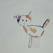 Елена Николаевна Шкребело