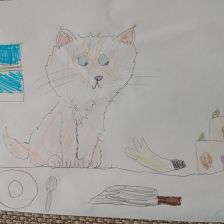 Ярослав Александрович Иванов в конкурсе «Замурчательные рисунки»