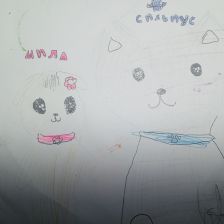 Дарья Вячеславовна Ермакова в конкурсе «Замурчательные рисунки»