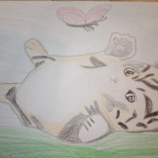 Зимина Дмитриевна Полина в конкурсе «Замурчательные рисунки»