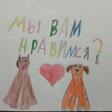 Лиля в конкурсе «Замурчательные рисунки»