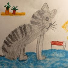 Эвелина Плетникова