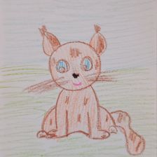 Диана Евгеньевна Алсофьева в конкурсе «Замурчательные рисунки»