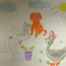 Илья Соколов