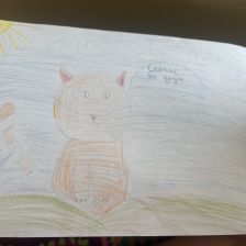 Лейла Динаровна Гареева в конкурсе «Замурчательные рисунки»