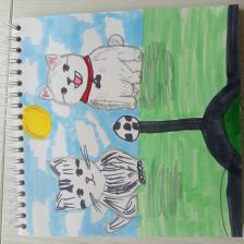 Кира Андреевна Тумко в конкурсе «Замурчательные рисунки»