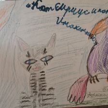 Анастасия Евгеньевна Наймушина в конкурсе «Замурчательные рисунки»