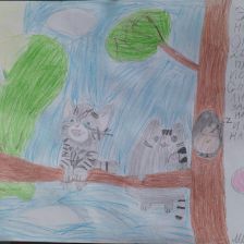 Милена Константиновна Мышкина в конкурсе «Замурчательные рисунки»