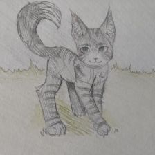 Настя Дмитриевна Паршакова