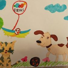 Самира Артуровна Боджокова в конкурсе «Замурчательные рисунки»