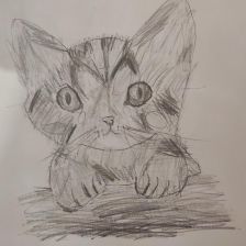 Таня Пивоварова в конкурсе «Замурчательные рисунки»