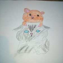 Елизавета Лесикова в конкурсе «Замурчательные рисунки»