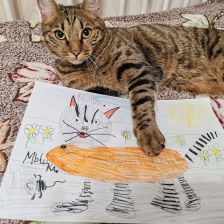 Егор Александрович Надин в конкурсе «Замурчательные рисунки»