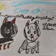 Миша Степанюк