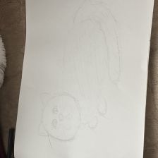 Варвара Андреевна Демидова в конкурсе «Замурчательные рисунки»