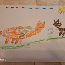 Алексей Александрович Болотов в конкурсе «Замурчательные рисунки»