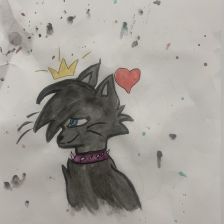 Кира 🐢 Юрьевна ✨ Сторчак🎀 в конкурсе «Замурчательные рисунки»