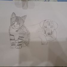 Анастасия Евгеньевна Неганова в конкурсе «Замурчательные рисунки»