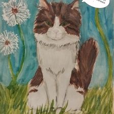 Полина Сергеевна Тихенко в конкурсе «Замурчательные рисунки»