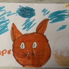 Елизавета Витошкина