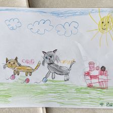 Варвара Романовна Фролова в конкурсе «Замурчательные рисунки»