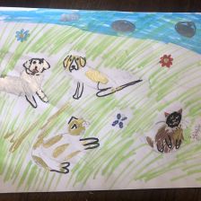 Мария Дмитриевна Арефина в конкурсе «Замурчательные рисунки»