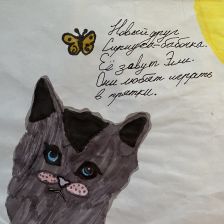 Алиса Янпольская в конкурсе «Замурчательные рисунки»