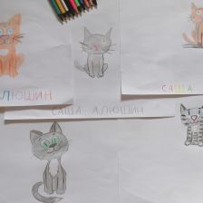 Саша Алюшин