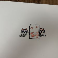 Ксения Евгеньевна Дорохова