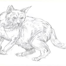 Вероника Артемовна Мусиенко