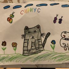 Виктория Сергеевна Гакал в конкурсе «Замурчательные рисунки»