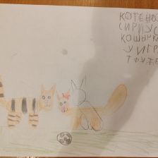 Виктория Перевознюк