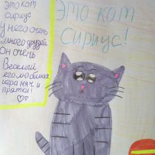 Ева Витальевна Мостовая в конкурсе «Замурчательные рисунки»