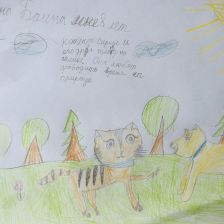 Аилана Николаевна Баина