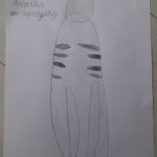 Владимир Евгеньевич Коротченко в конкурсе «Замурчательные рисунки»