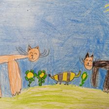 Полина Сергиенко