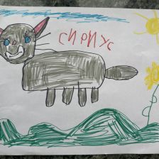 Миша Бойчевский